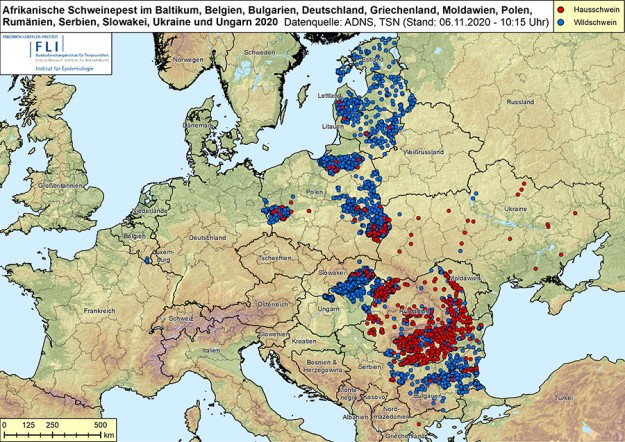 De meest actuele kaart met AVP-besmettingen. Bron: Friedrich Loeffler Instituut