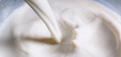 Melkprijs neemt stabiele trend aan